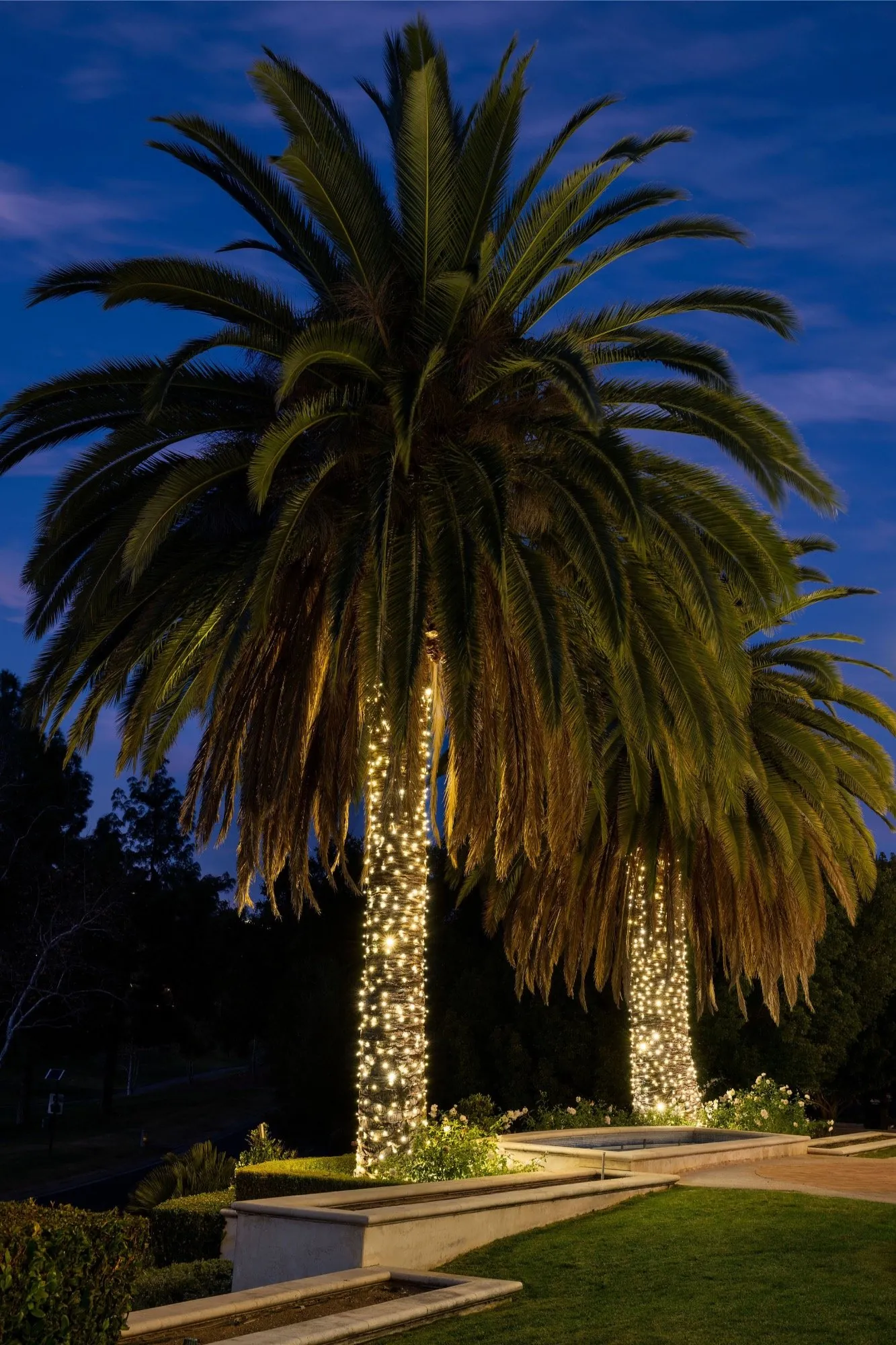 Christmas Light Installation in Bothell, WA